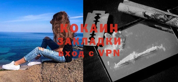 ALPHA PVP Няндома