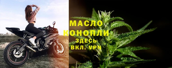 ALPHA PVP Няндома
