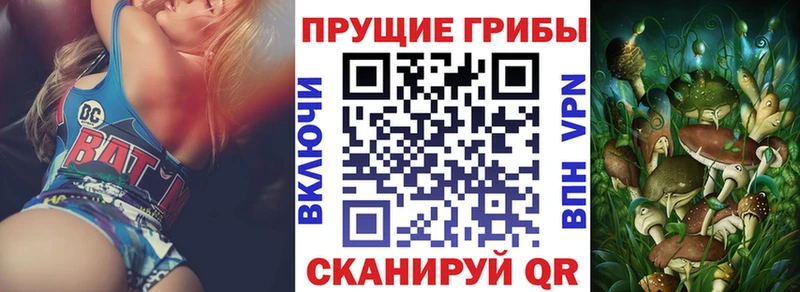 Псилоцибиновые грибы Cubensis  купить наркотики сайты  Собинка 